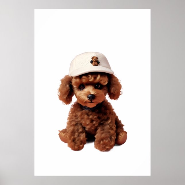Poster Plush Chocolate Mini Poodle Folder (Frente)