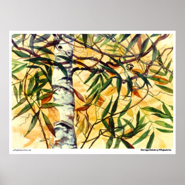 Poster PMACarlson "Chickadee Preto" (Frente)