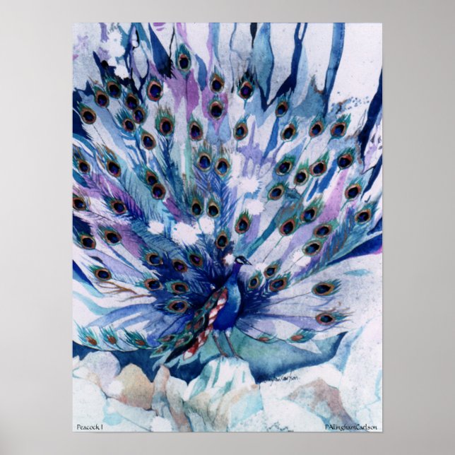 Poster PMACarlson Peacock I (Frente)