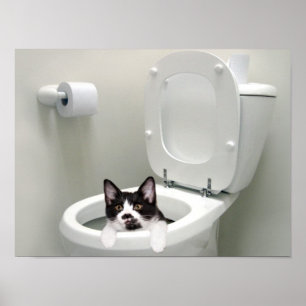 Pôster Pnha a tampa para baixo