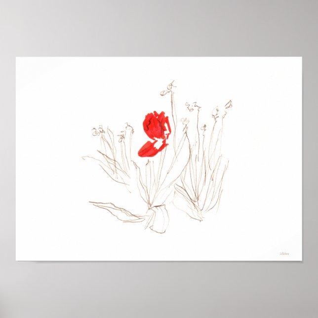 Poster Pobre tulipa adorável (Frente)