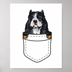 Poster Pocket Bully Dog