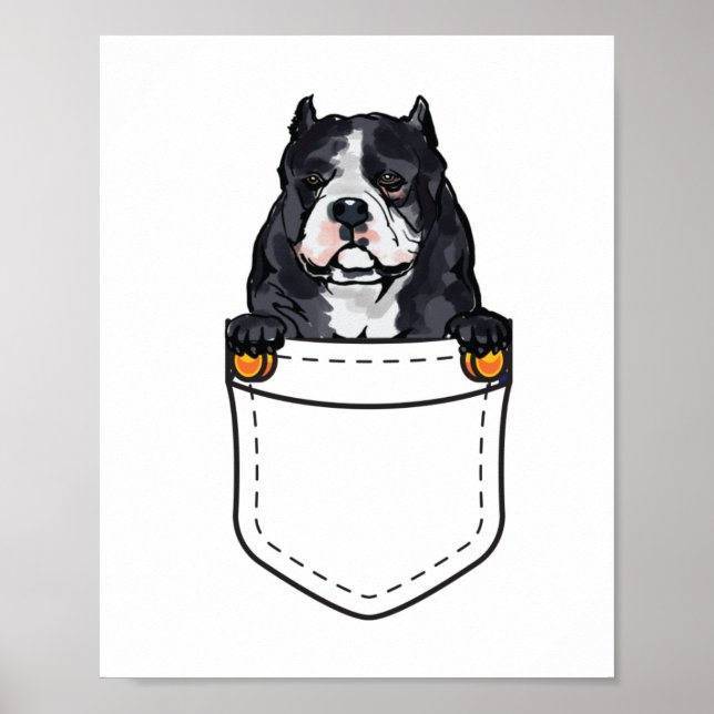 Poster Pocket Bully Dog (Frente)
