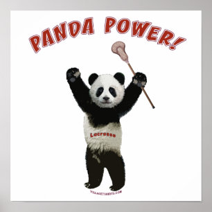 Poster Poder da panda do Lacrosse