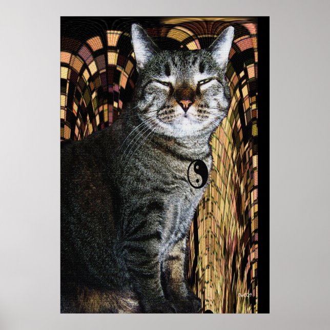 Pôster Poder de persuasão (Frente)