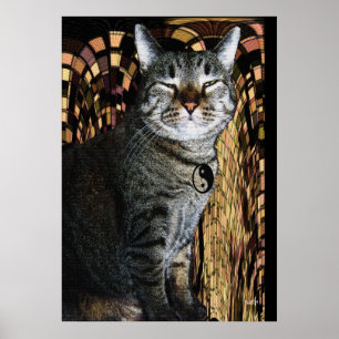 Pôster Poder de Purrsuasion