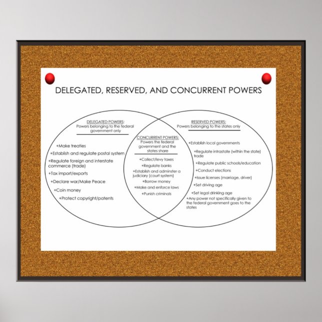 Pôster Poderes Concorrentes, Delegados, Reservados *ATUAL (Frente)