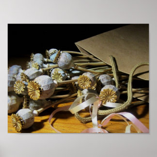 Pôster Pods De Flores Secos