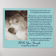 poema de compaixão do cão akita idoso