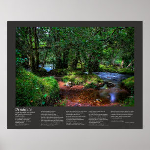Poster Poema De Desiderata - Voa Silenciosamente O Rio