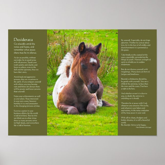 Poster Poema Desiderata - Dartmoor Pony Foal (Frente)