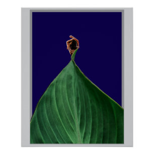 Pôster Poético Verde Orgânico Folha Estética Natural