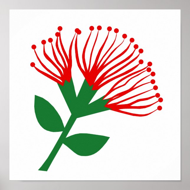 Poster Pohutukawa Flower, Nova Zelândia (Frente)