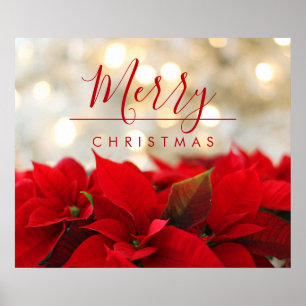 Poster Poinsétias vermelhas com Natal dourado de Bokeh