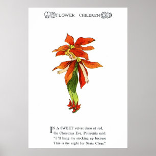 Pôster Poinsettia
