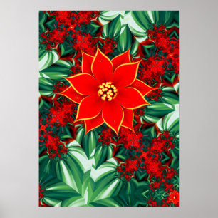 Poster Poinsettia Antiga