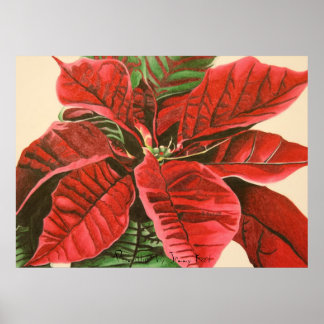Pôster "Poinsettia" por Jenny Koch