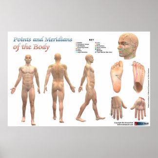 Pôster Points and meridians of the body