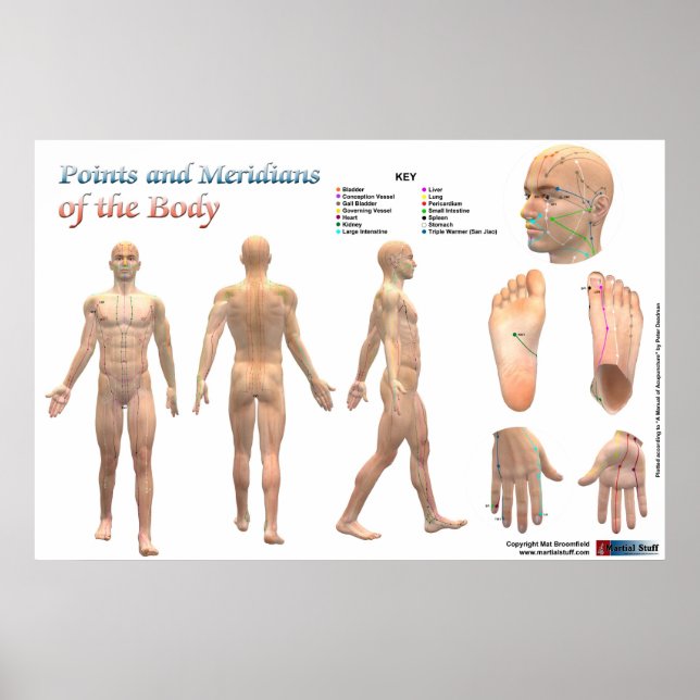 Pôster Points and meridians of the body (Frente)