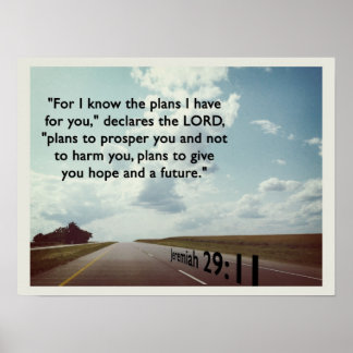 Pôster Pois eu sei os planos...