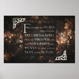 Poster Pois eu sei os planos que tenho para você