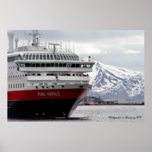 Poster polar de Cruiseship