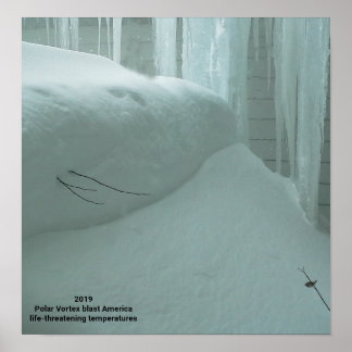 POSTER POLAR VORTEX ATINGE A AMÉRICA 2019