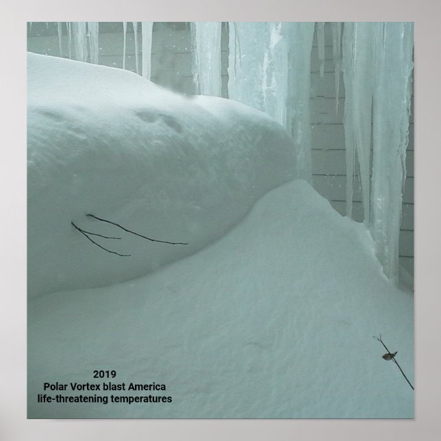 POSTER POLAR VORTEX ATINGE A AMÉRICA 2019 (Frente)