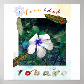 Pôster pólen azul zazzle