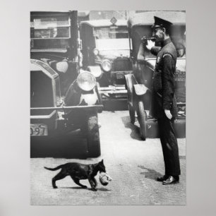 Poster Policial interrompe o tráfego para o Gato de Mam
