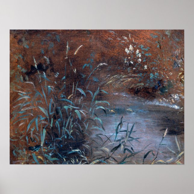 Poster Policial - Rushes Por Uma Piscina (Frente)