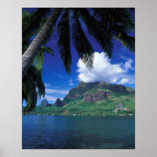 Poster Polinésia Francesa, Moorea. Cooks Bay.Verde