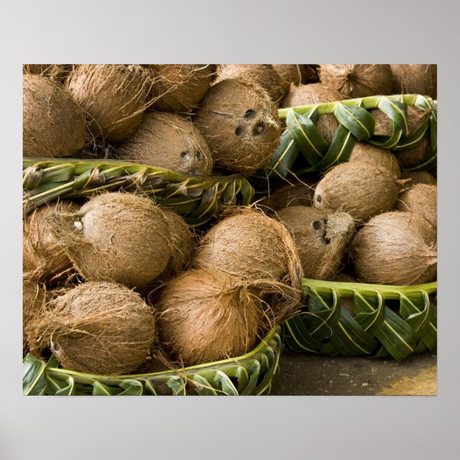 Pôster Polinésia, Reino de Tonga. Exibição de cocos (Frente)