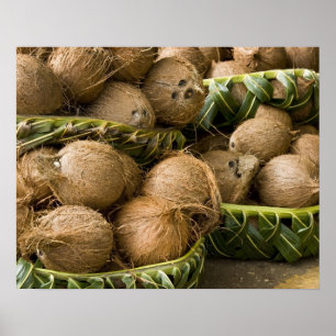 Pôster Polinésia, Reino de Tonga. Exposição de cocos