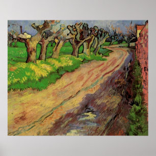 Poster Pollard Willows por Vincent van Gogh