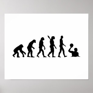 Poster Pólo aquático da evolução