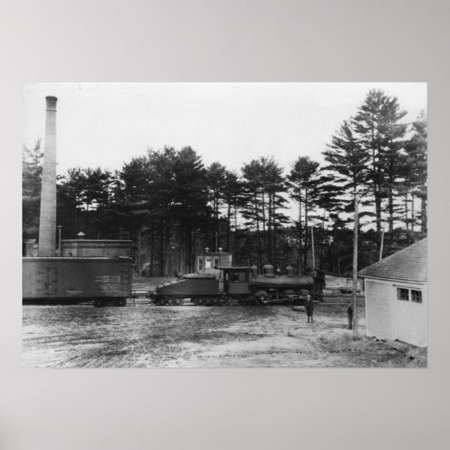 Pôster Polônia Primavera Railroad (Frente)