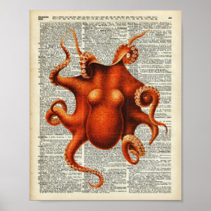 Poster Polvo