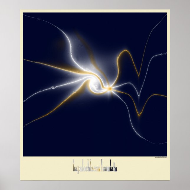 Pôster polvo do anel azul (Frente)