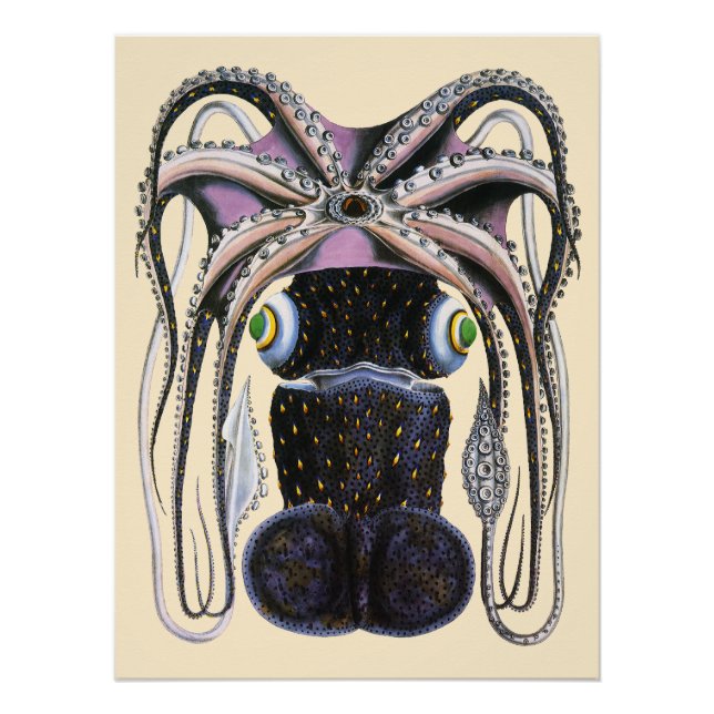 Pôster Polvo ou Lula Gigante, Animal de Vida Marinha Anti (Frente)