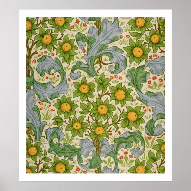 Pôster Pomar, Carvalho, 1899 (Frente)