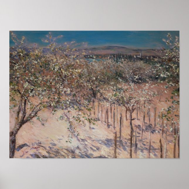 Pôster Pomar com Árvores de Maçã Flores, Colombos (Frente)
