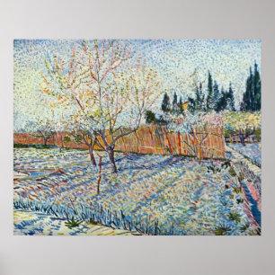 Pôster Pomar com o cipreste por Vincent van Gogh
