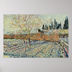 Pôster Pomar com o Cypress por Vincent van Gogh