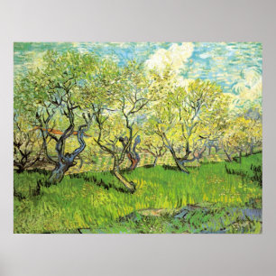 Pôster Pomar em Blossom por Vincent van Gogh