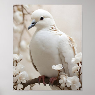 Poster Pomba Branca Elegante