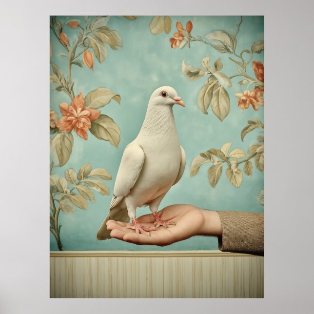 Poster Pomba Branca Pacífica (Frente)