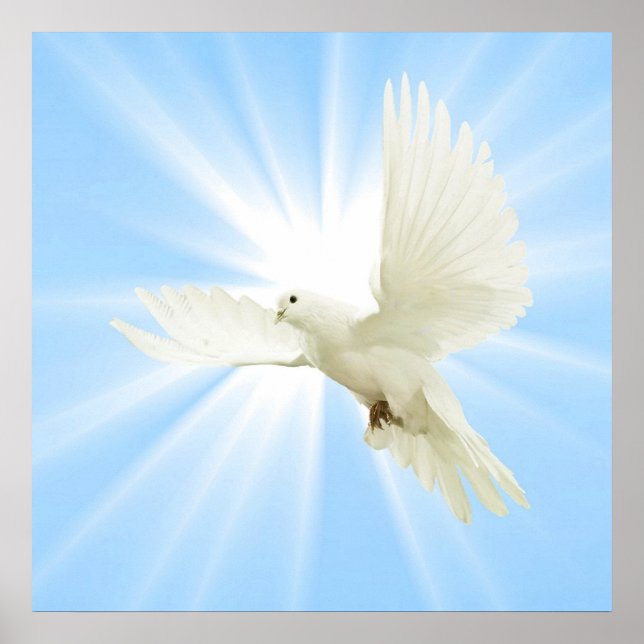 Pôster Pomba voadora (Frente)