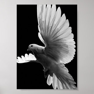 Poster Pombo Branco
