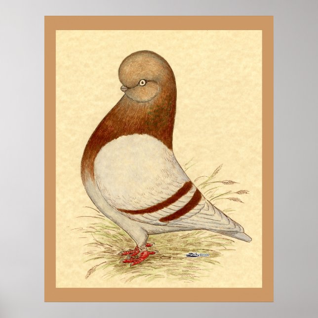 Pôster Pombo do Tumbler: LFCL Mealy (Frente)